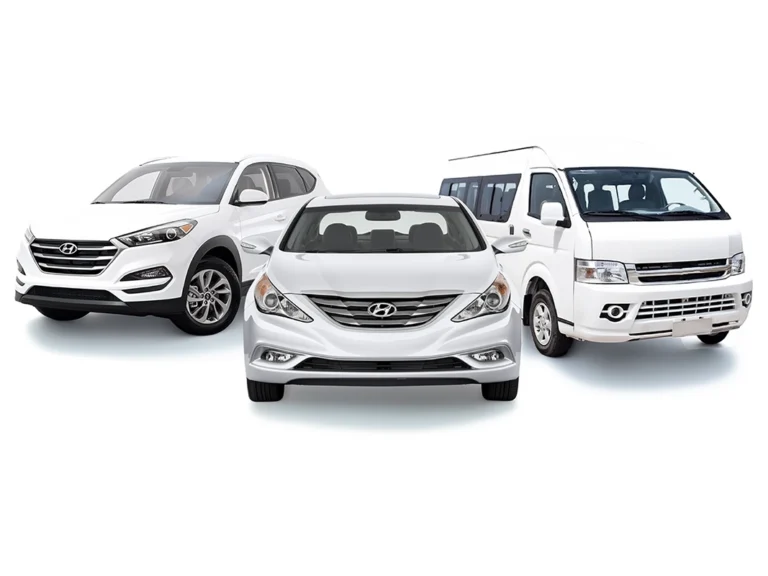 Comfortable private vans and SUVs for safe island travel, provided by the best tour operators in Sri Lanka